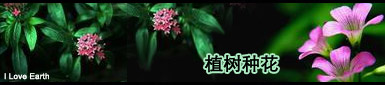 历史图片